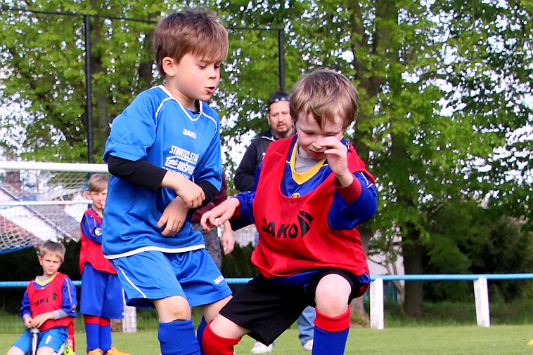 Lípa - Borohrádek 010 null