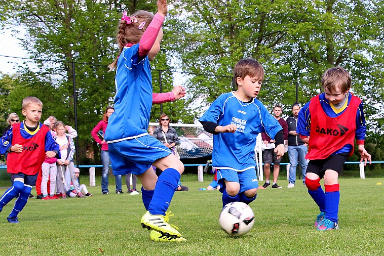 Lípa - Borohrádek 011 null