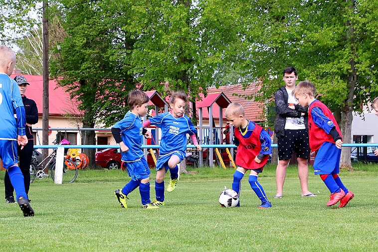 Lípa - Borohrádek 012 null