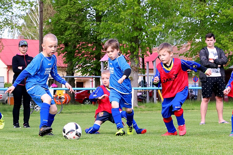 Lípa - Borohrádek 013 null