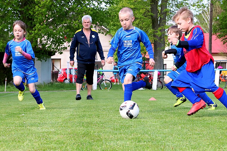 Lípa - Borohrádek 014 null