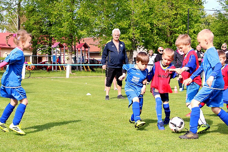 Lípa - Borohrádek 015 null