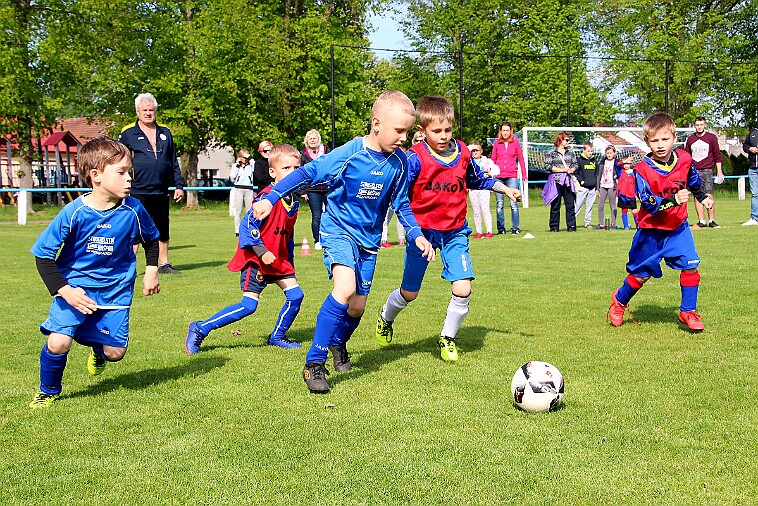 Lípa - Borohrádek 016 null