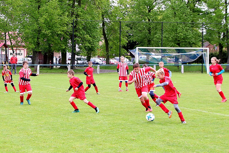 05_Borohrádek - Černíkovice+Rychnov 003 null