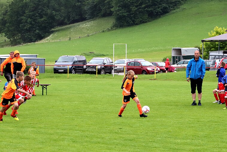 016 03 - Černíkovice - Slatina+Javornice 001 null