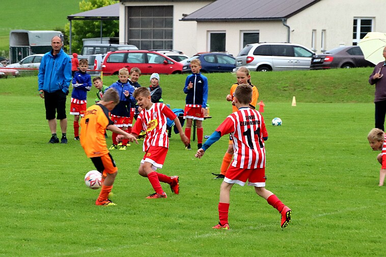 019 03 - Černíkovice - Slatina+Javornice 004 null