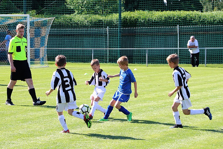 02 - Borohrádek - Doudleby+Sopotnice 001 null