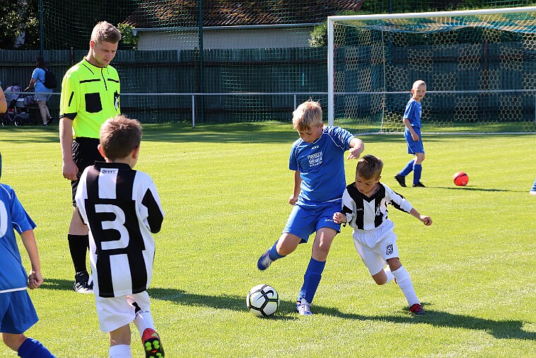 02 - Borohrádek - Doudleby+Sopotnice 002 null