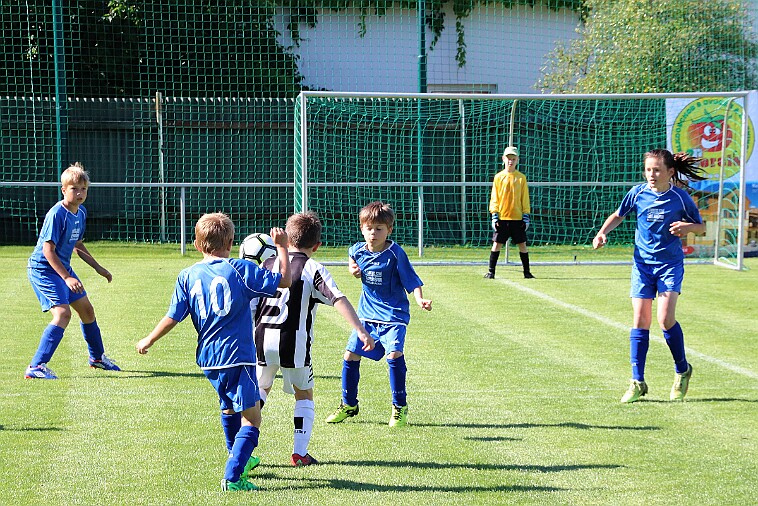 02 - Borohrádek - Doudleby+Sopotnice 003 null