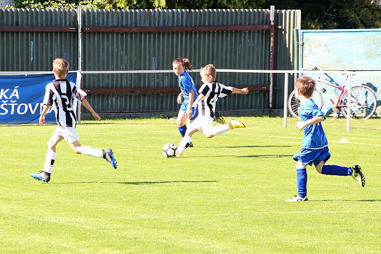 02 - Borohrádek - Doudleby+Sopotnice 005 null