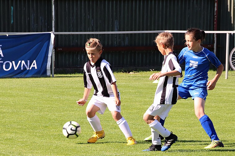 02 - Borohrádek - Doudleby+Sopotnice 006 null