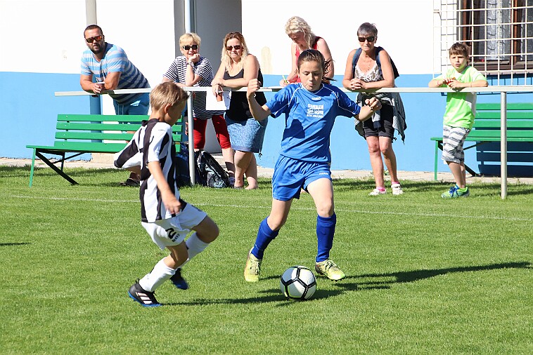 02 - Borohrádek - Doudleby+Sopotnice 007 null