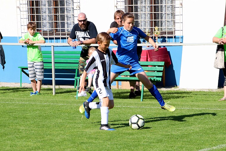 02 - Borohrádek - Doudleby+Sopotnice 008 null