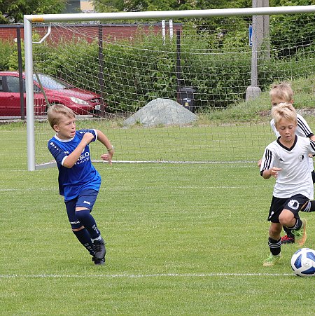 1. Rychnov bílá - Vrchalbí 2013