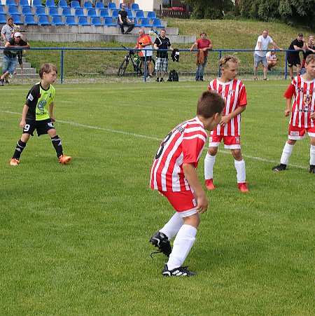 1. Černíkovice bílá - Rychnov žlutá