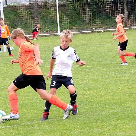 1. Dobruška+Opočno - Rychnov bílá