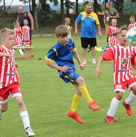 1. Malšova Lhota modrá - Černíkovice bílá