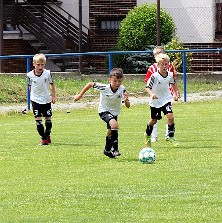 1. Rychnov bílá - Černíkovice bílá