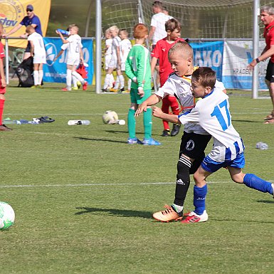 2022 0612 - 2022 0611-12 - Hradec Králové JAKO CUP U9 - ©PR - 0274