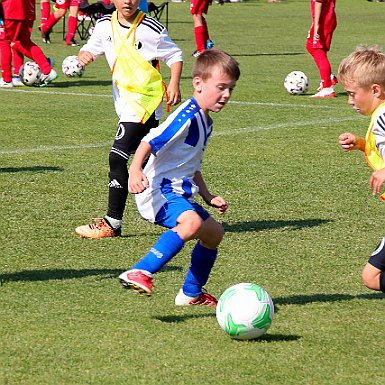 2022 0612 - 2022 0611-12 - Hradec Králové JAKO CUP U9 - ©PR - 0289