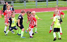 2020901 - Týniště - Černíkovice - Rychnov OP MP - ©PR - 046-L