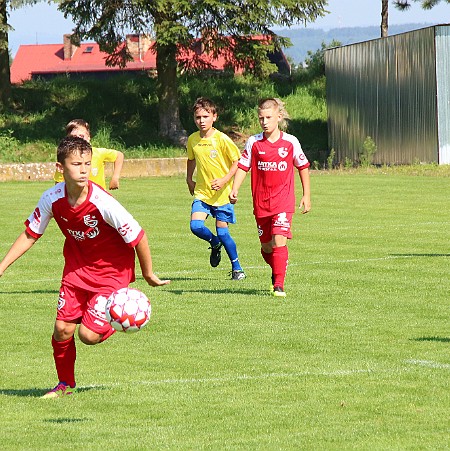 15-N.Město nM 2013 - Slavia H.Králové