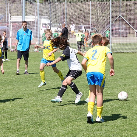 1420 - FK Teplice - Rychnov - 3-0