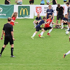 240603 - Hradec Králové Malšovská aréna - McDonalďs Cup - finále - ©PR - 358