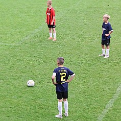 240603 - Hradec Králové Malšovská aréna - McDonalďs Cup - finále - 2.den - ©PR - 088