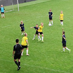 240603 - Hradec Králové Malšovská aréna - McDonalďs Cup - finále - 2.den - ©PR - 349