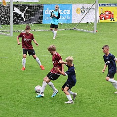 240603 - Hradec Králové Malšovská aréna - McDonalďs Cup - finále - ©PR - 189