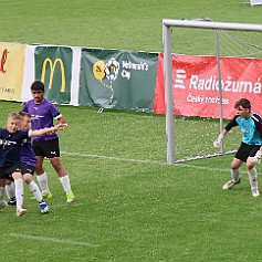 240603 - Hradec Králové Malšovská aréna - McDonalďs Cup - finále - ©PR - 273