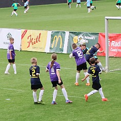 240603 - Hradec Králové Malšovská aréna - McDonalďs Cup - finále - ©PR - 283