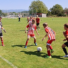 240824 - Opočno Cup - starší přípravka - ©PR - 494