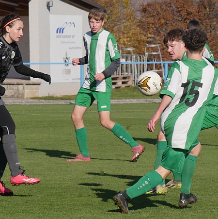 241110 - Jaroměř+Velichovky - Úpice+Rtyně - ČD a VD KP MD U17 sk. B - ©VM Zápis o utkání © Václav Mlejnek