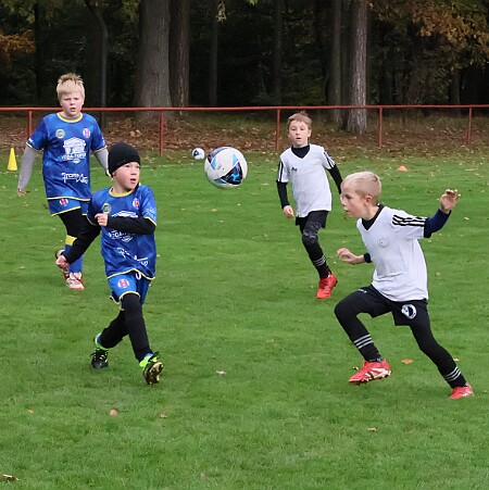 251018 - Kostelecká Lhota+Vamberk B - Rychnov - Albrechtice+Borohrádek zelená - OP MP U9 OFS RK - ©PR