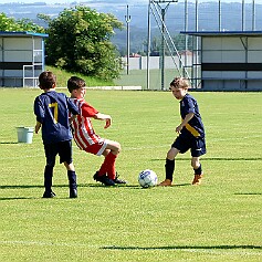 250621 - Opočno - Memoriál Miroslava Kliky r. 2016 - ©PR - 0111