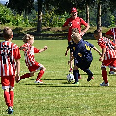 250621 - Opočno - Memoriál Miroslava Kliky r. 2016 - ©PR - 0120