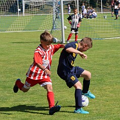 250621 - Opočno - Memoriál Miroslava Kliky r. 2016 - ©PR - 0129