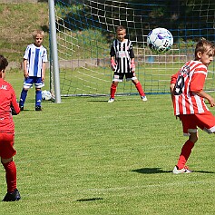 250621 - Opočno - Memoriál Miroslava Kliky r. 2016 - ©PR - 0213