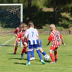 250621 - Opočno - Memoriál Miroslava Kliky r. 2016 - ©PR - 0217