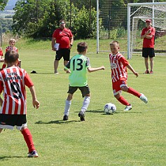 250621 - Opočno - Memoriál Miroslava Kliky r. 2016 - ©PR - 0438