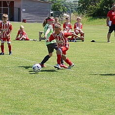 250621 - Opočno - Memoriál Miroslava Kliky r. 2016 - ©PR - 0439