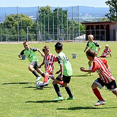 250621 - Opočno - Memoriál Miroslava Kliky r. 2016 - ©PR - 0451