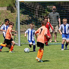 250621 - Opočno - Memoriál Miroslava Kliky r. 2016 - ©PR - 0462