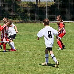 250621 - Opočno - Memoriál Miroslava Kliky r. 2016 - ©PR - 0498