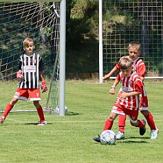 250621 - Opočno - Memoriál Miroslava Kliky r. 2016 - ©PR - 0519