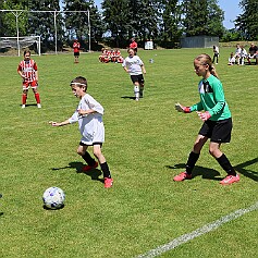 250621 - Opočno - Memoriál Miroslava Kliky r. 2016 - ©PR - 0523