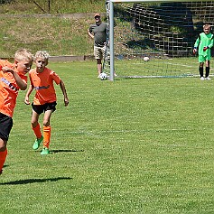 250621 - Opočno - Memoriál Miroslava Kliky r. 2016 - ©PR - 0616