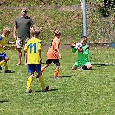 250621 - Opočno - Memoriál Miroslava Kliky r. 2016 - ©PR - 0621